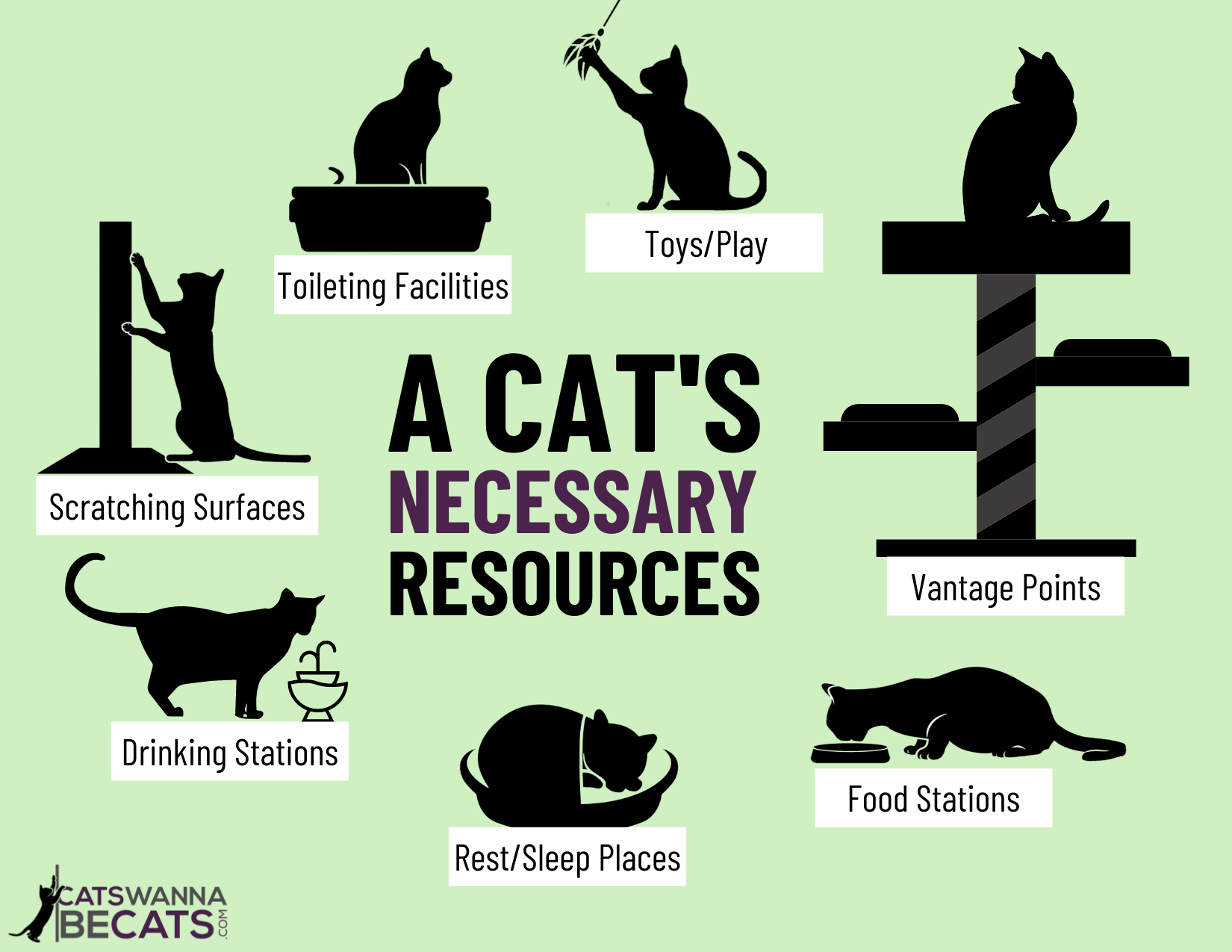 A Cat's Necessary Resources