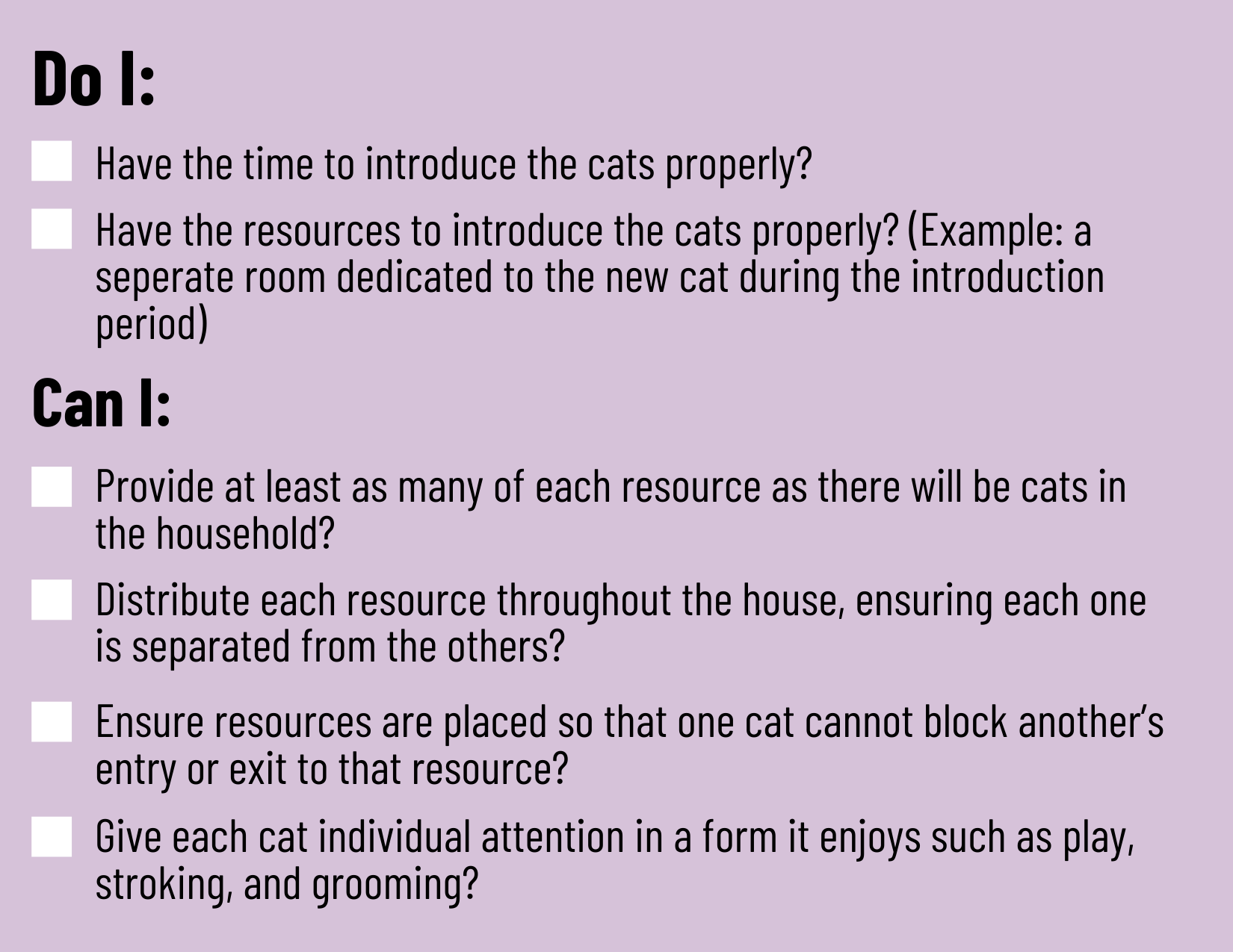 Checklist before getting another cat
