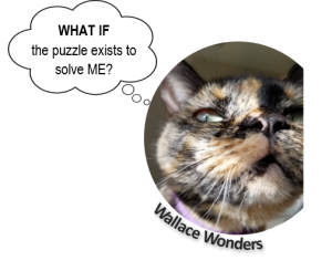 Wallace Wonders: What if the puzzle exists to solve me?
