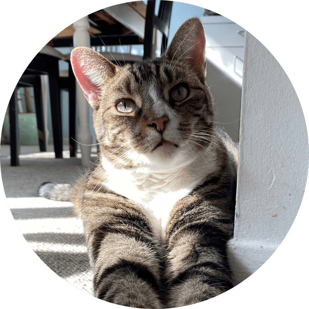 How Pixel Gets His Body Back Blog Series - Part 3