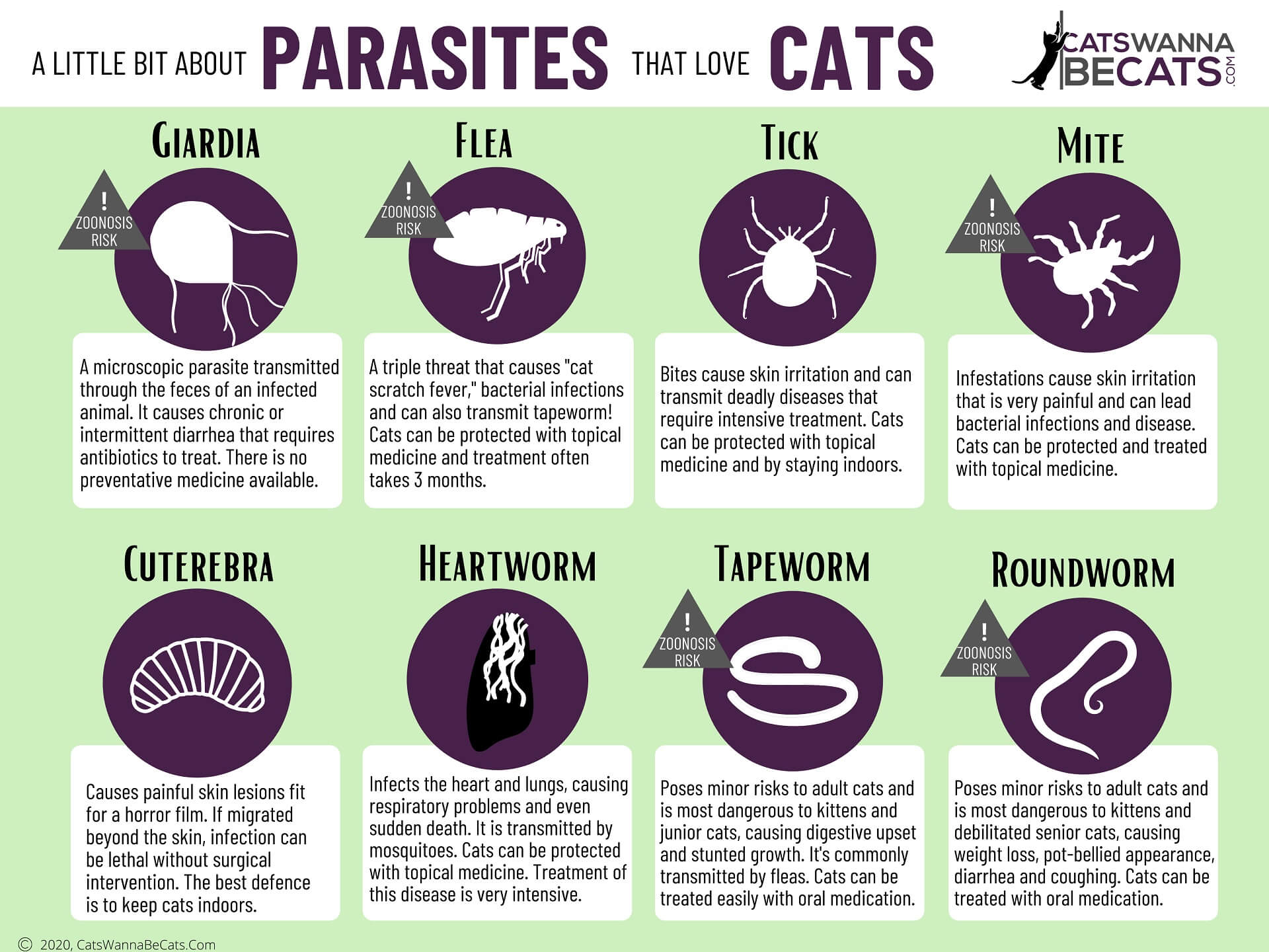 Cats Wanna Be Cats - Parasite Chart