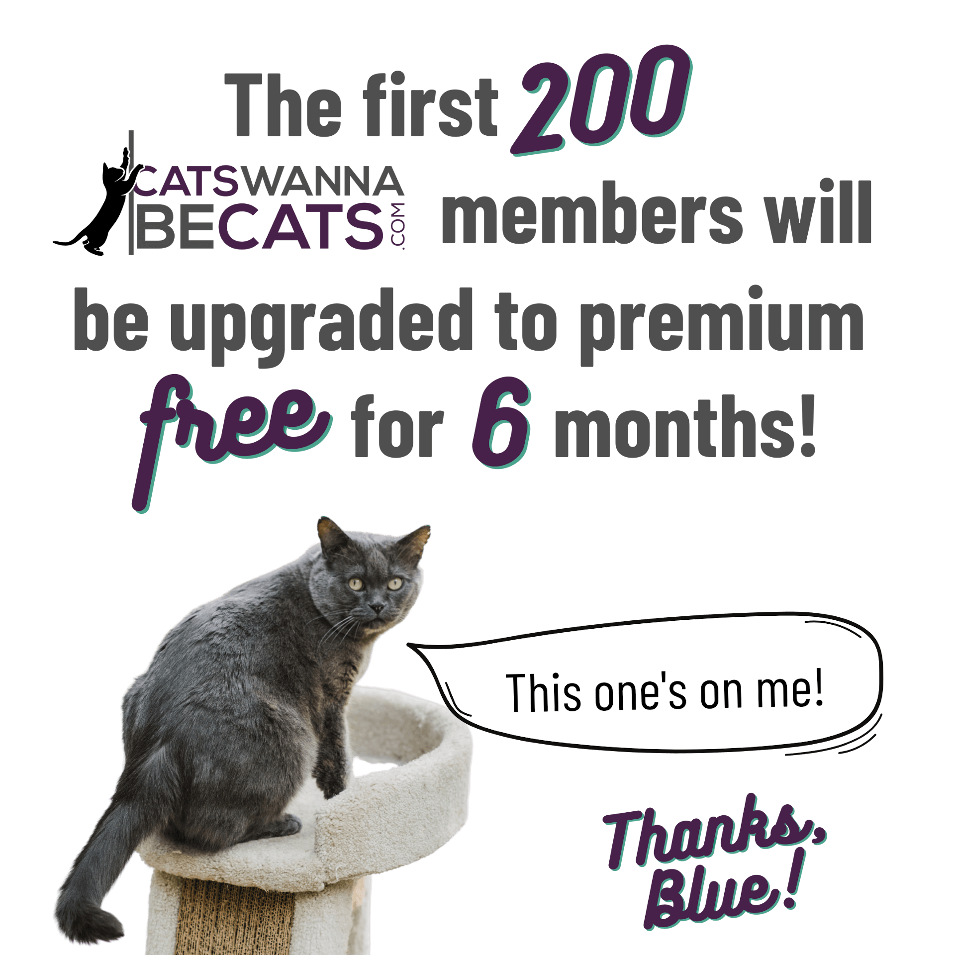 Cats Wanna Be Cats - First 200 Promo