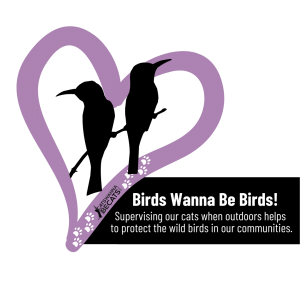 We love cats & birds!