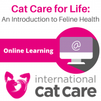 Online Course - Cat Care for Life: An Introduction to Feline Health